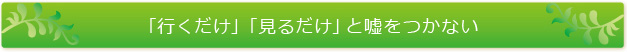 「行くだけ」「見るだけ」と嘘をつかない